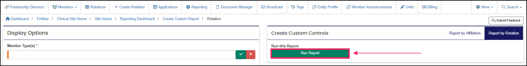 image of Report Controls panel highlighting Run Report button